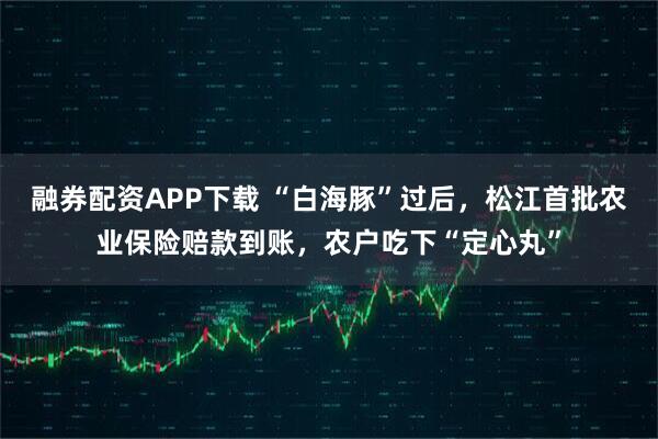 融券配资APP下载 “白海豚”过后，松江首批农业保险赔款到账，农户吃下“定心丸”